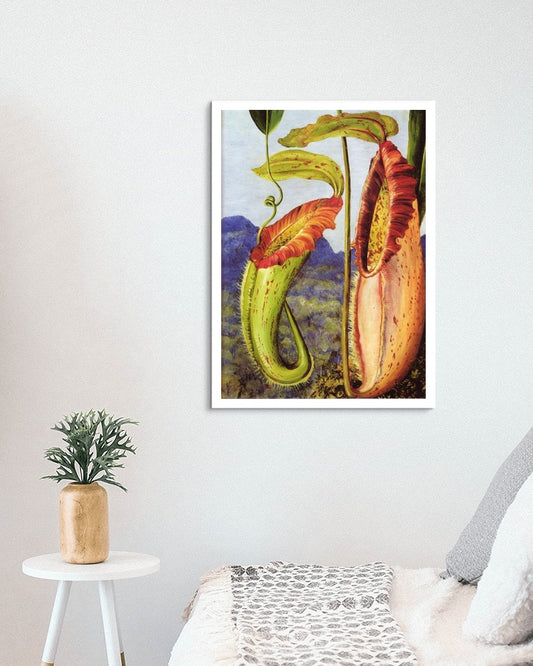 Nepenthes northiana by Marianne North Naturalism Art dated 1876