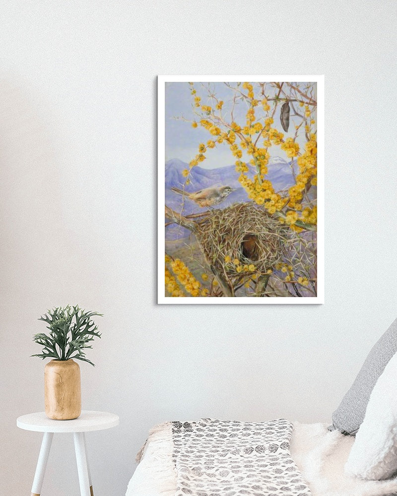 Armed Bird&#39;s Nest in Acacia Bush, Chile by Marianne North Naturalism Art