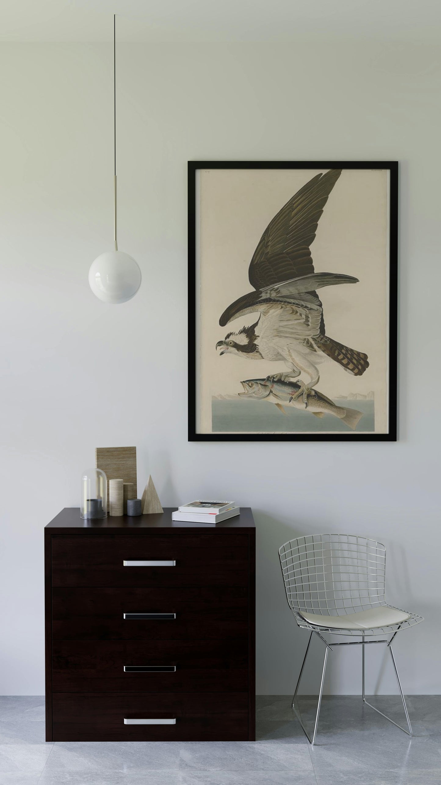 Plate 81 Fish Hawk or Osprey by John James Audubon Naturalism Art