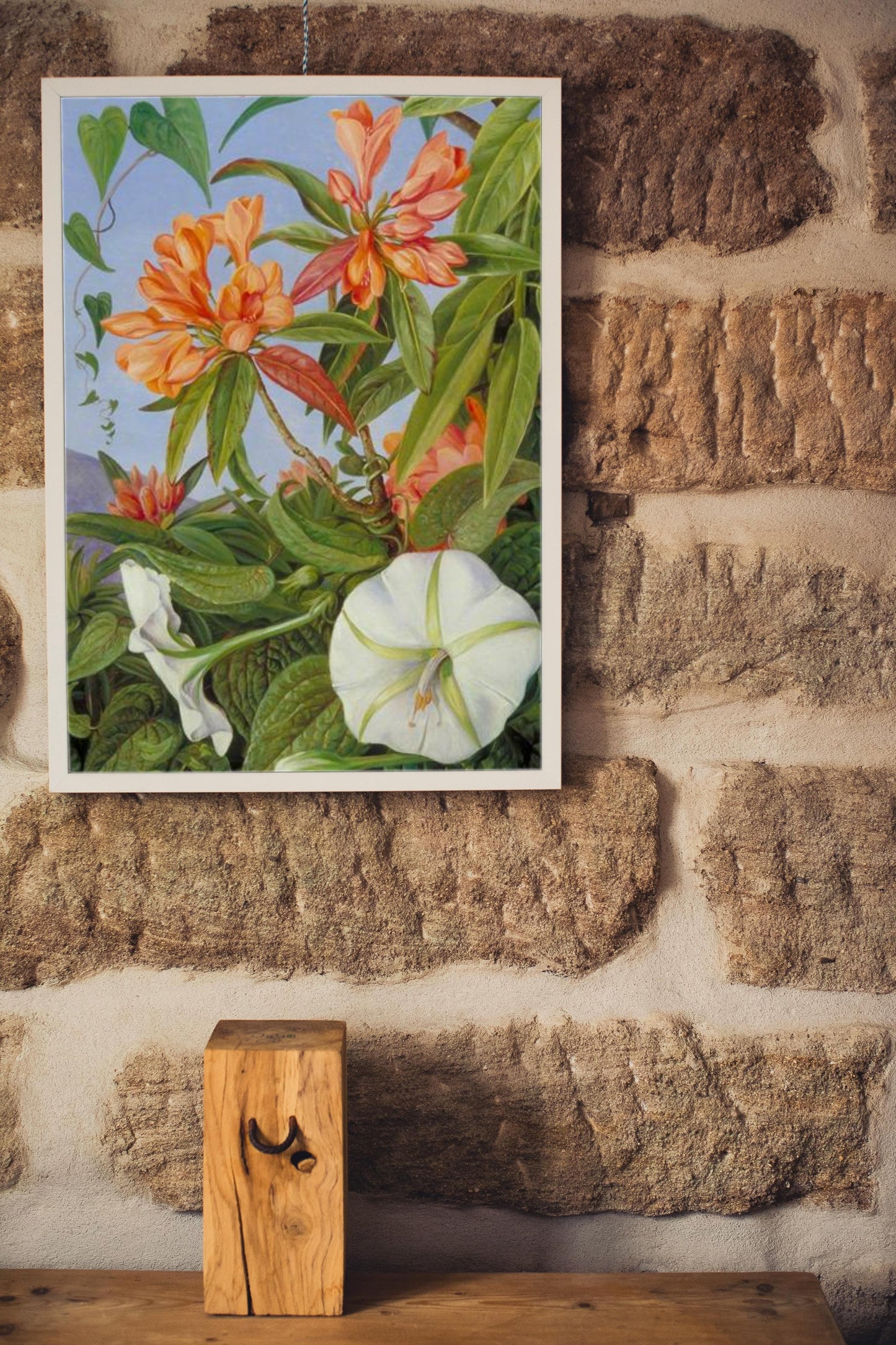 A Javan Rhododendron and Ipomoea by Marianne North Naturalism Art dated 1876