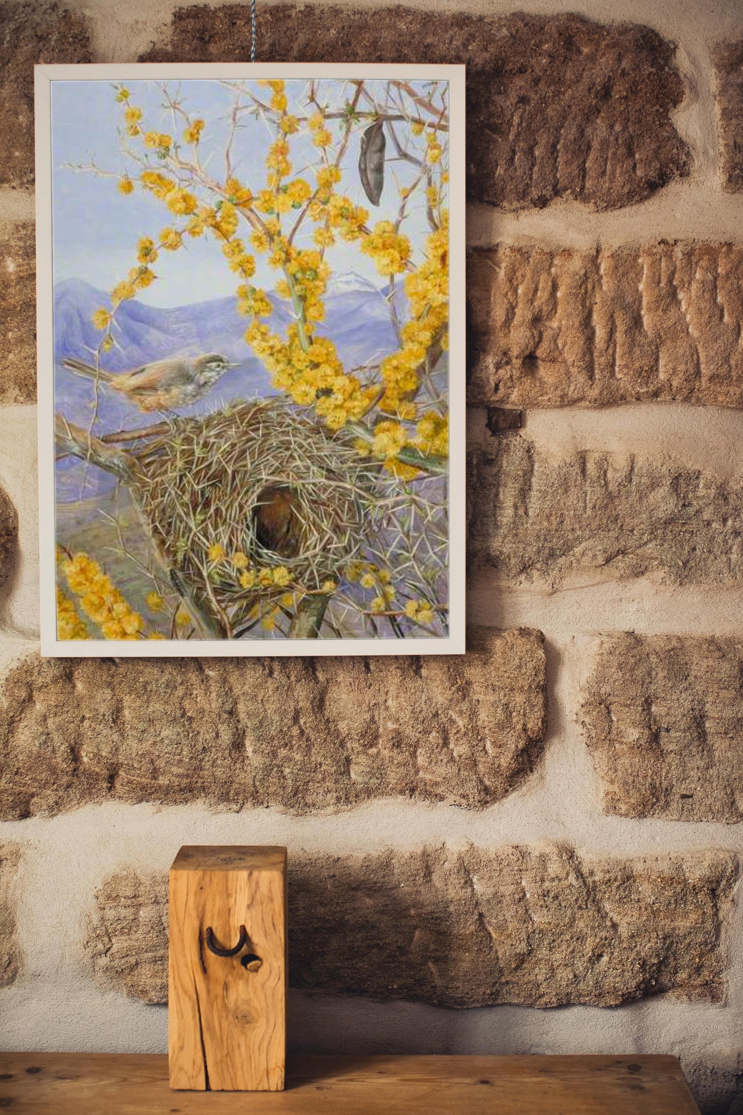 Armed Bird&#39;s Nest in Acacia Bush, Chile by Marianne North Naturalism Art