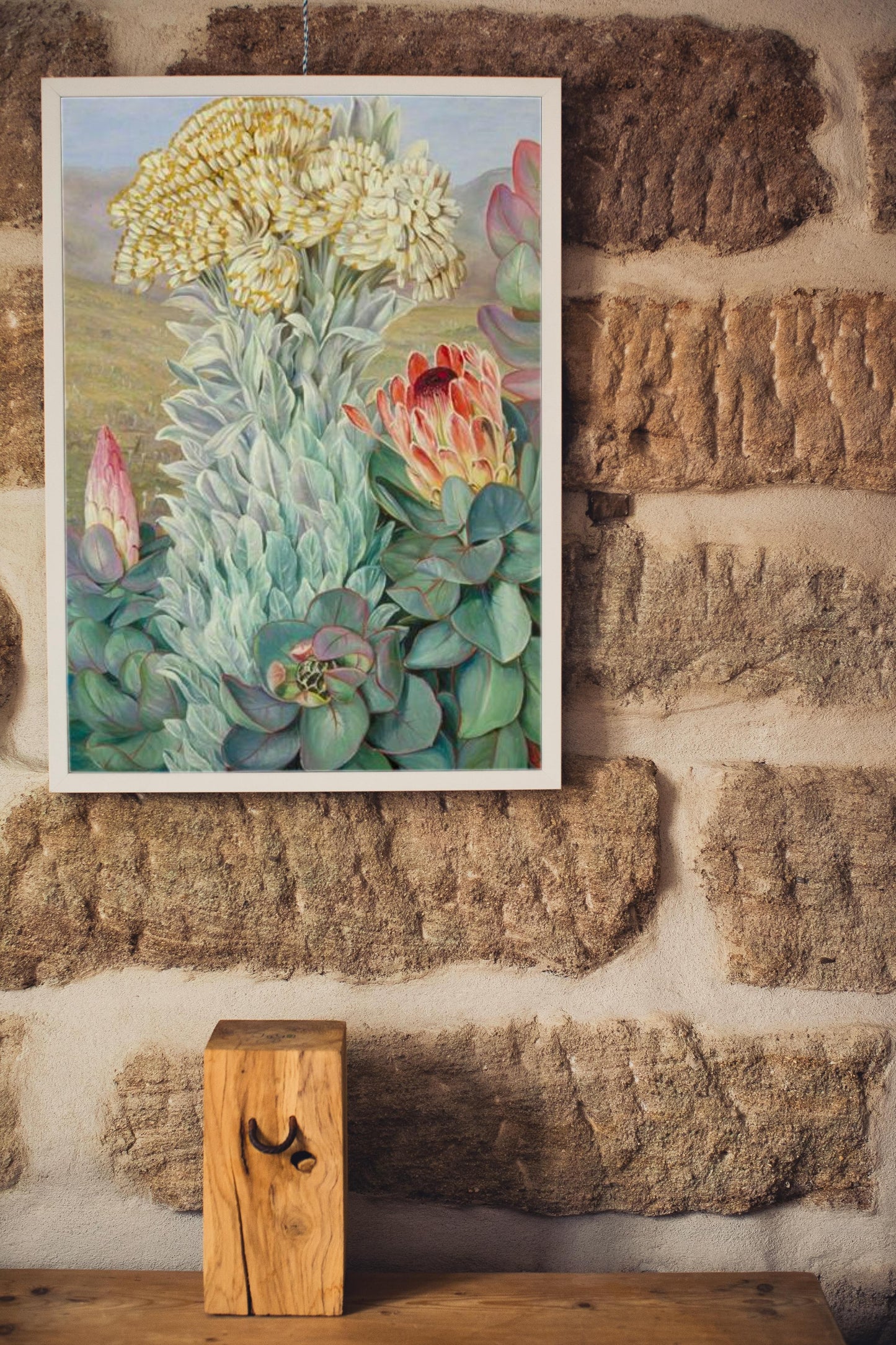 Giant Everlasting and Protea on the Hills near Port Elizabeth by Marianne North Naturalism Art dated 1882