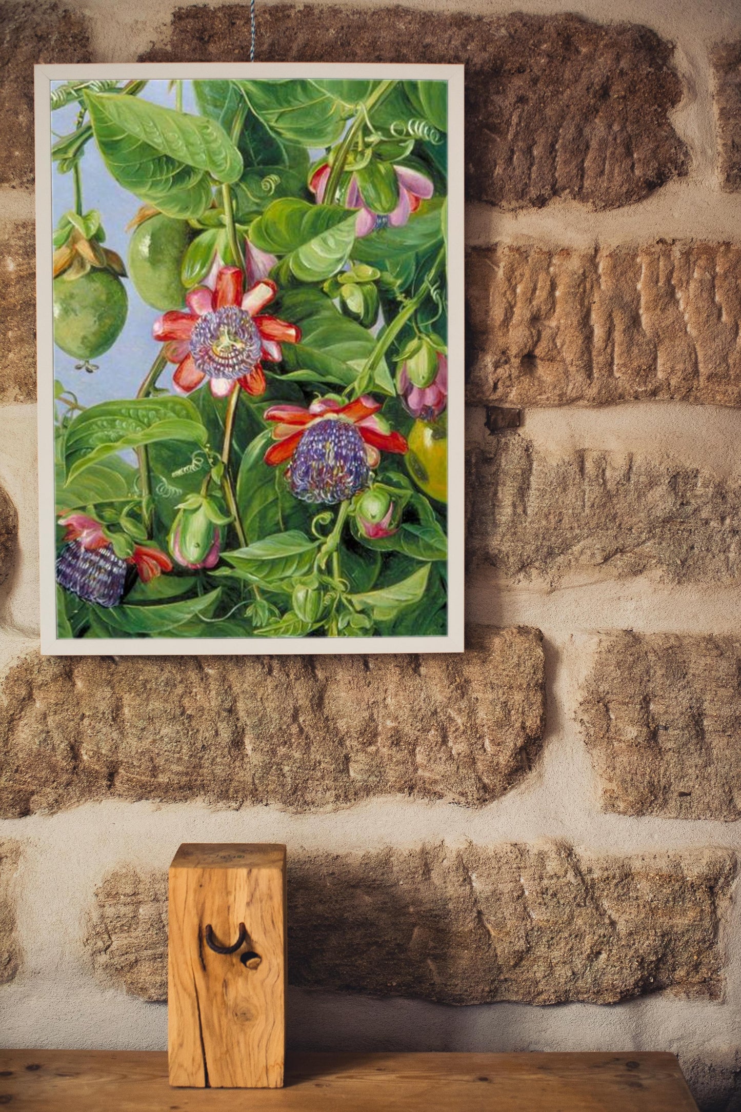 Flowers and Fruit of the Maricojas Passion Flower, Brazil by Marianne North Naturalism Art dated 1873