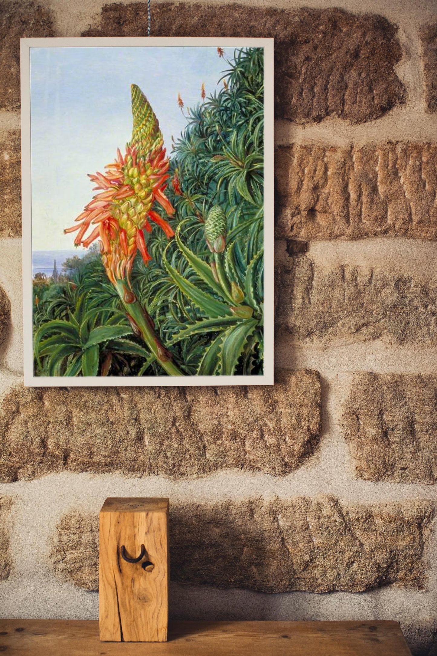 Common Aloe in Flower, Teneriffe by Marianne North Naturalism Art dated 1875