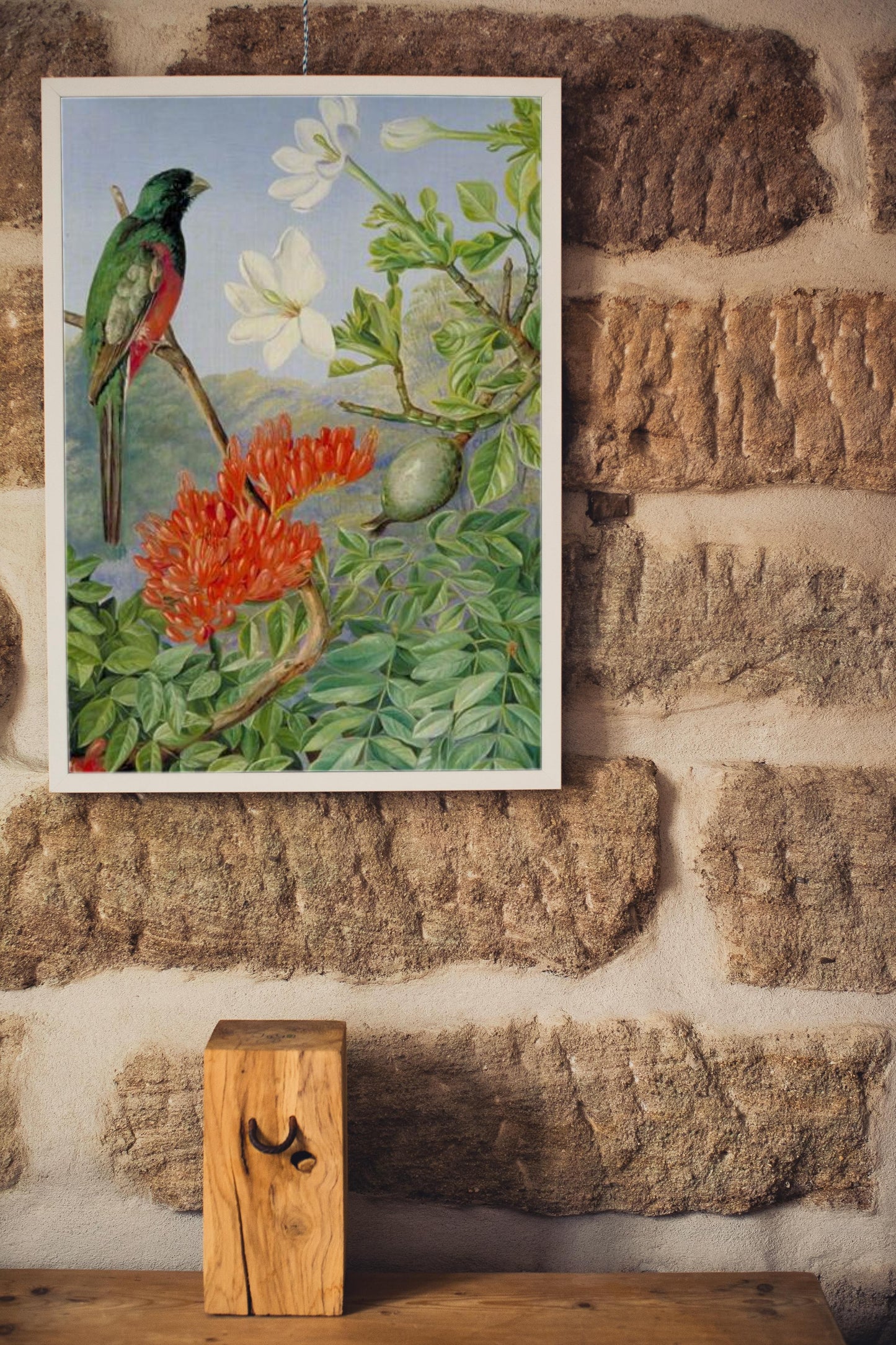 Two Flowering Shrubs of Natal and a Trogon by Marianne North Naturalism Art dated 1882