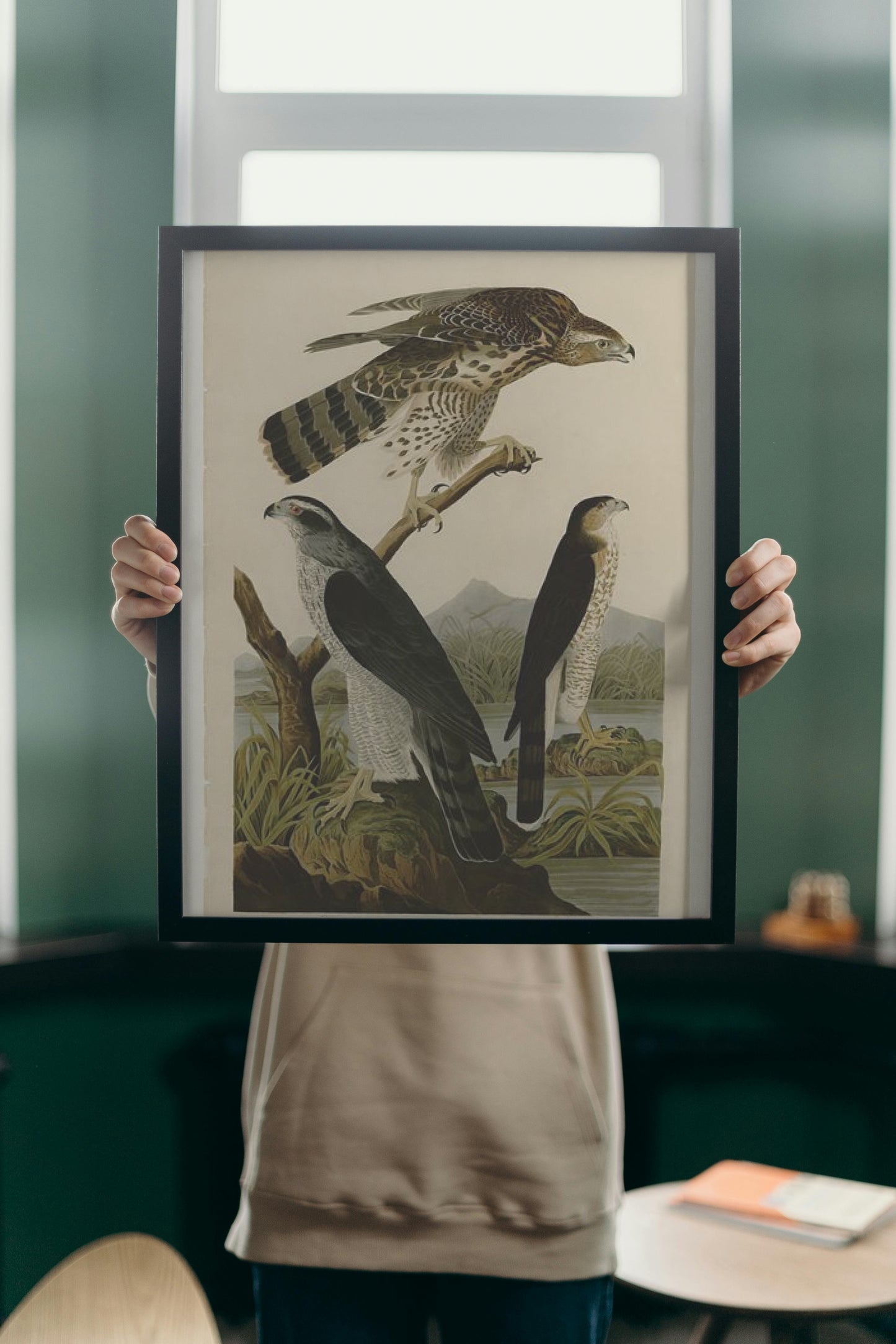 Plate 141 I. Goshawk - 2. Stanley Hawk by John James Audubon Naturalism Art