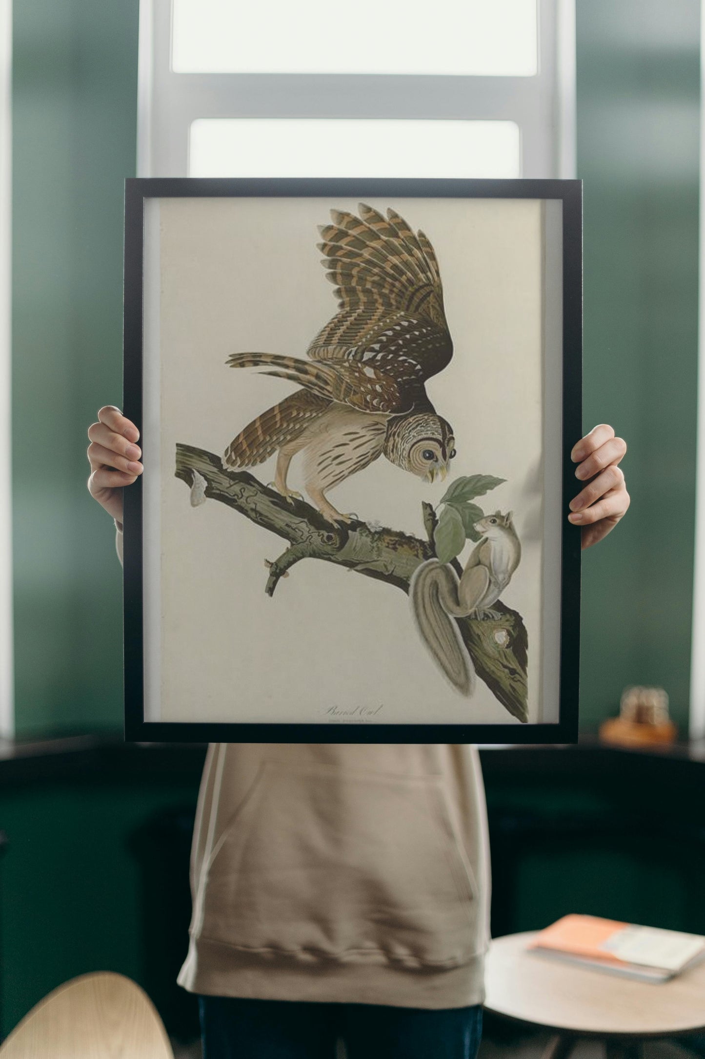 Plate 46. Barred Owl by John James Audubon Naturalism Art