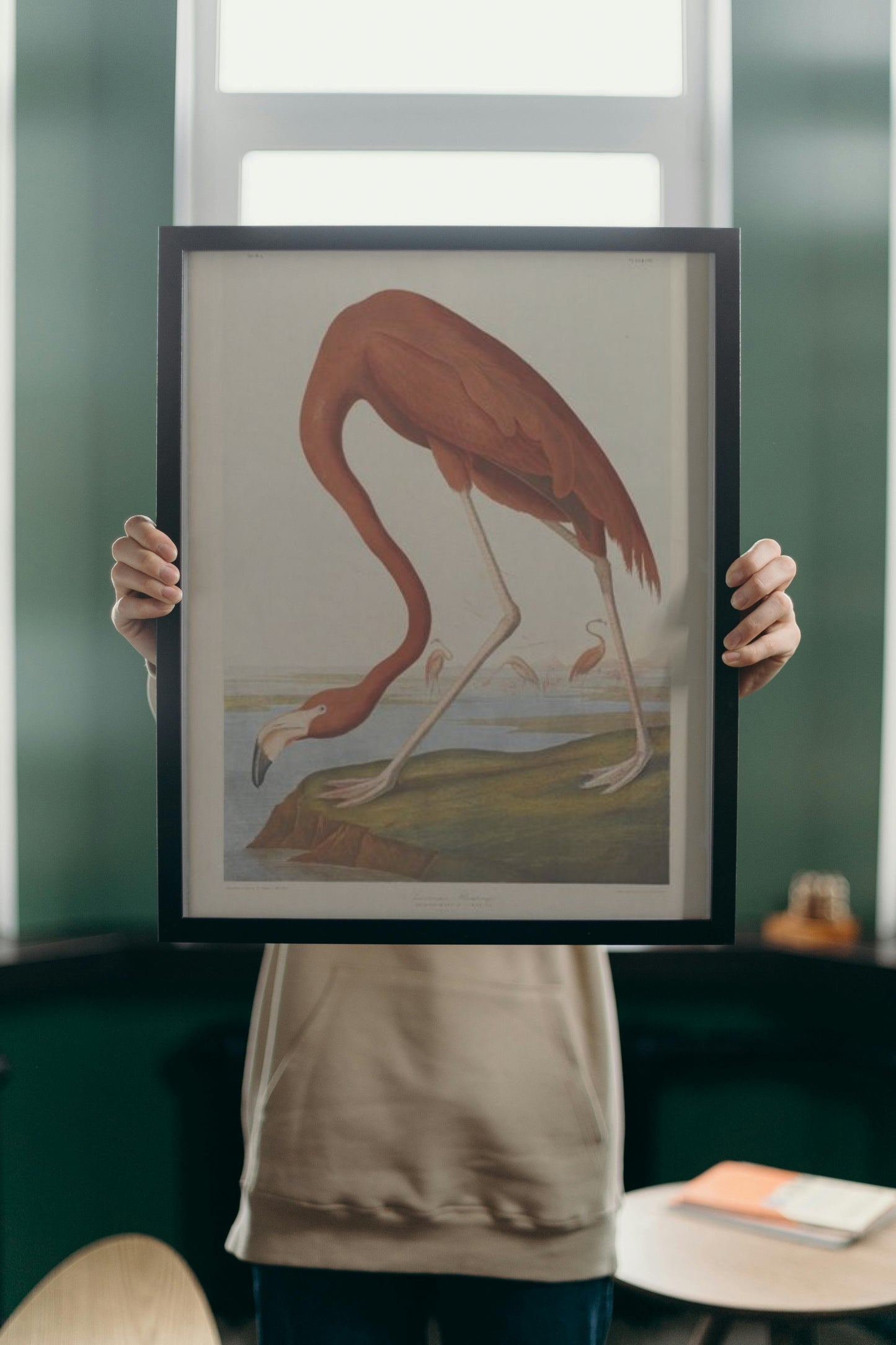 American Flamingo by John James Audubon Naturalism Art dated 1864