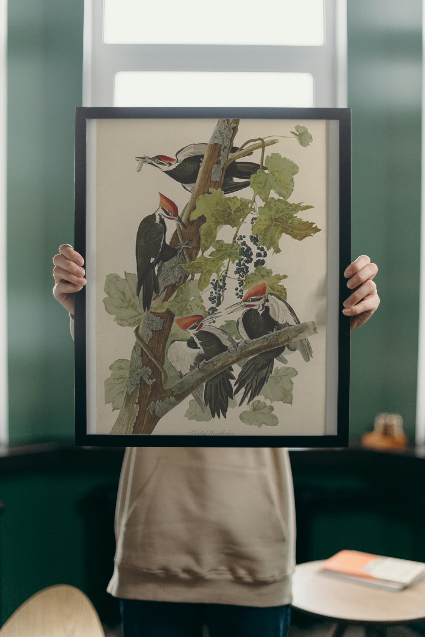 Plate 111 Pileated Woodpecker by John James Audubon Naturalism Art