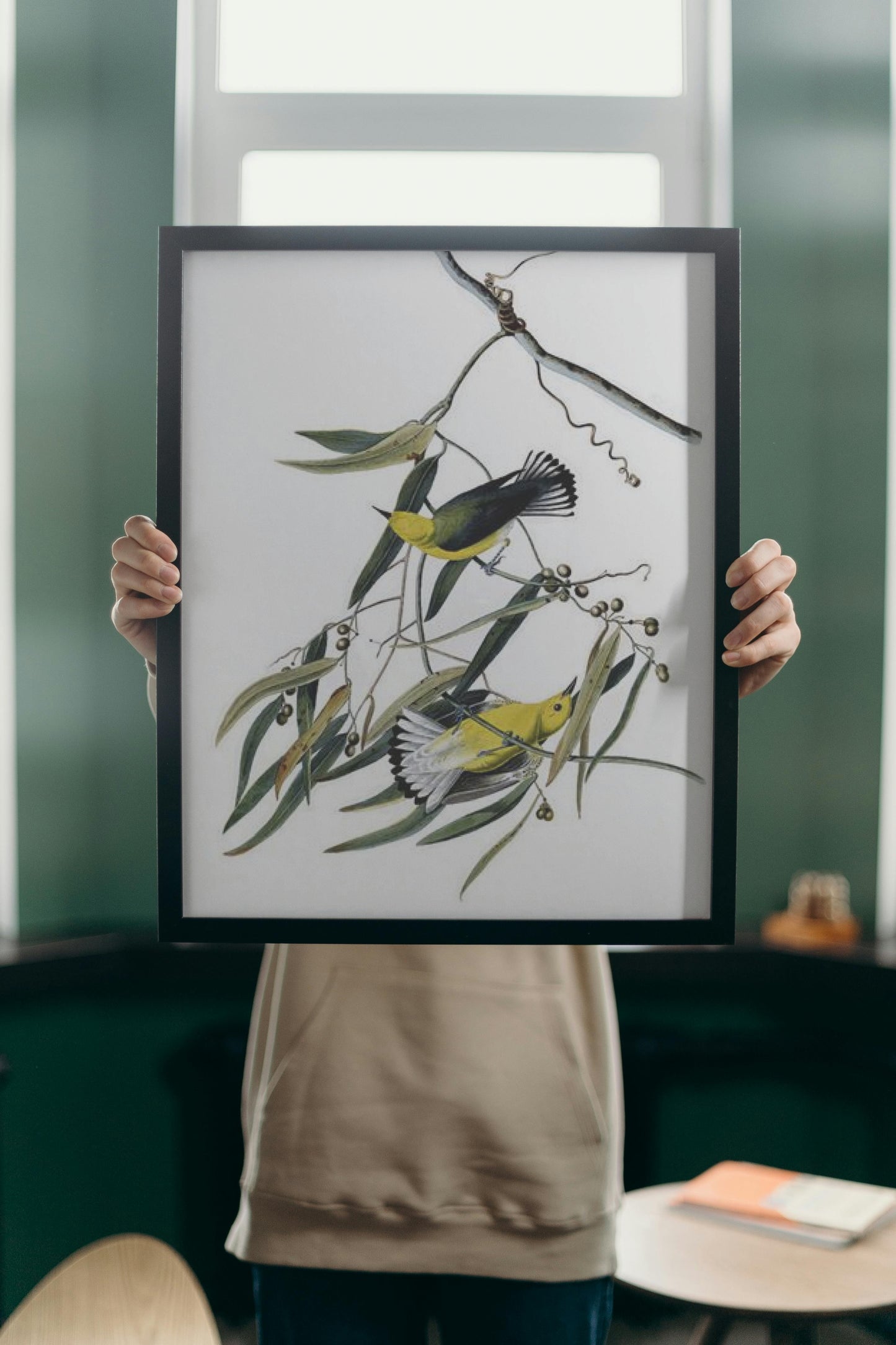 Plate 3. Prothonotary Warbler by John James Audubon Naturalism Art