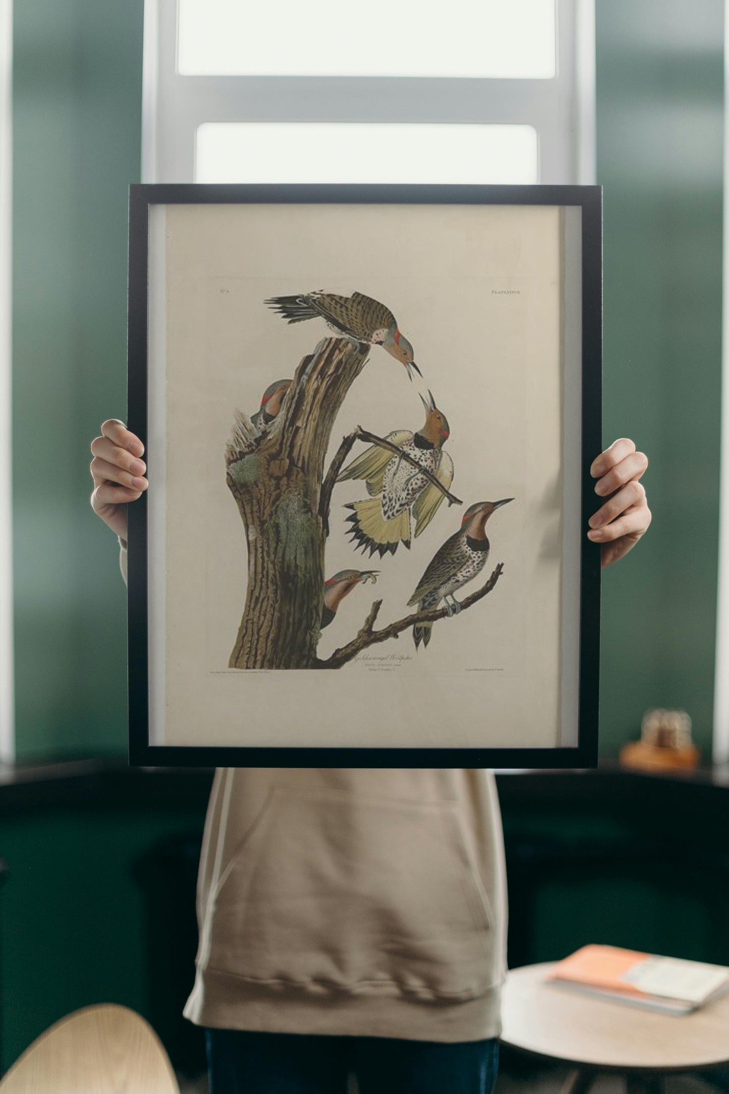 Plate 37. Golden-winged Woodpecker by John James Audubon Naturalism Art