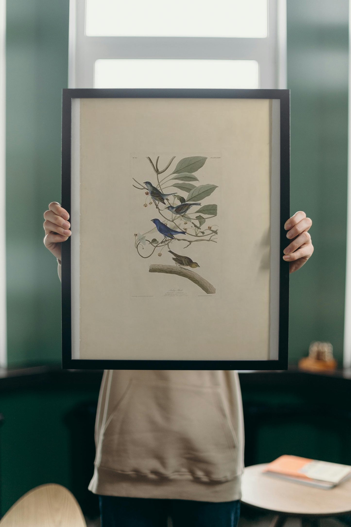 Plate 74 Indigo Bird by John James Audubon Naturalism Art