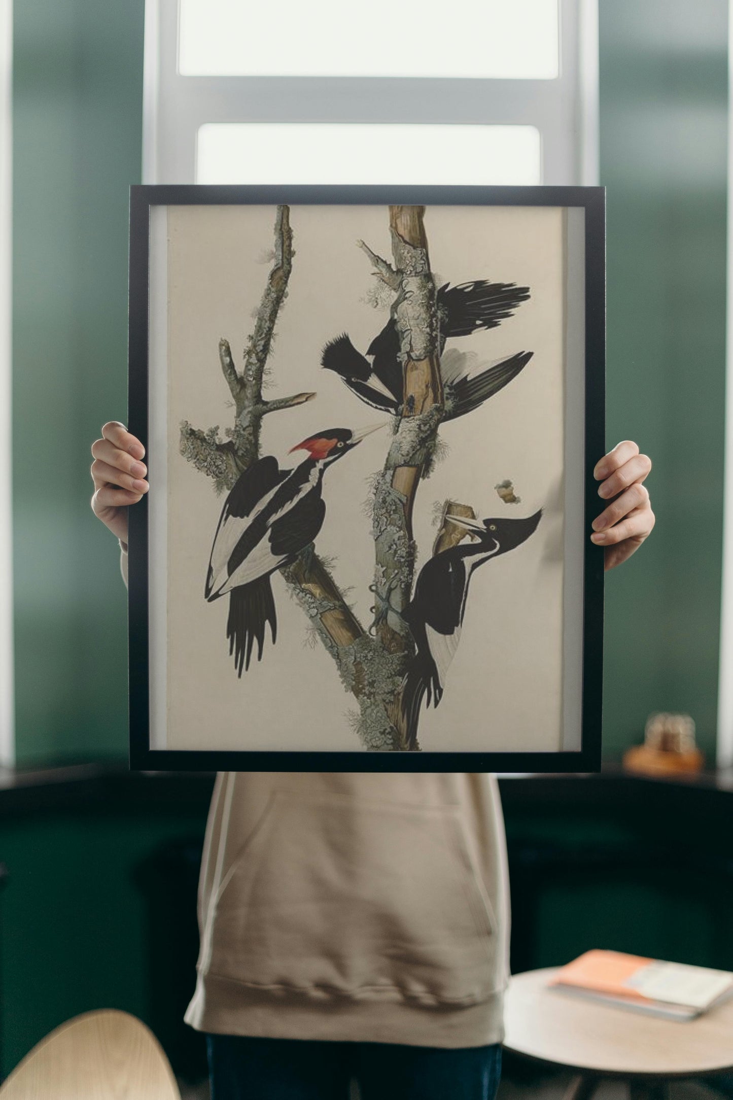 Plate 66 Ivory-billed Woodpecker by John James Audubon Naturalism Art