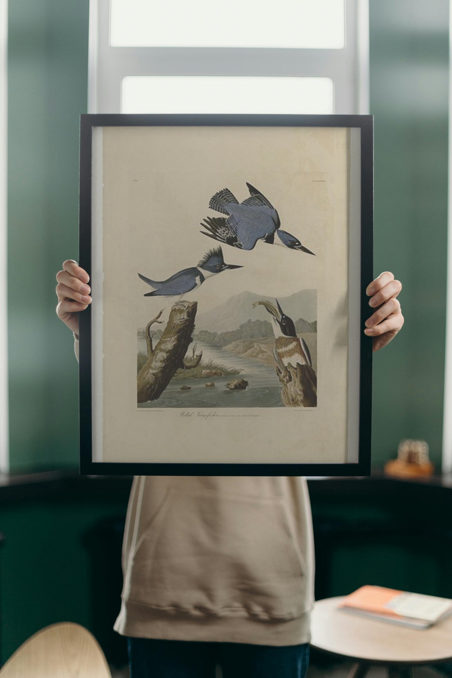 Plate 77 Belted Kingfisher by John James Audubon Naturalism Art