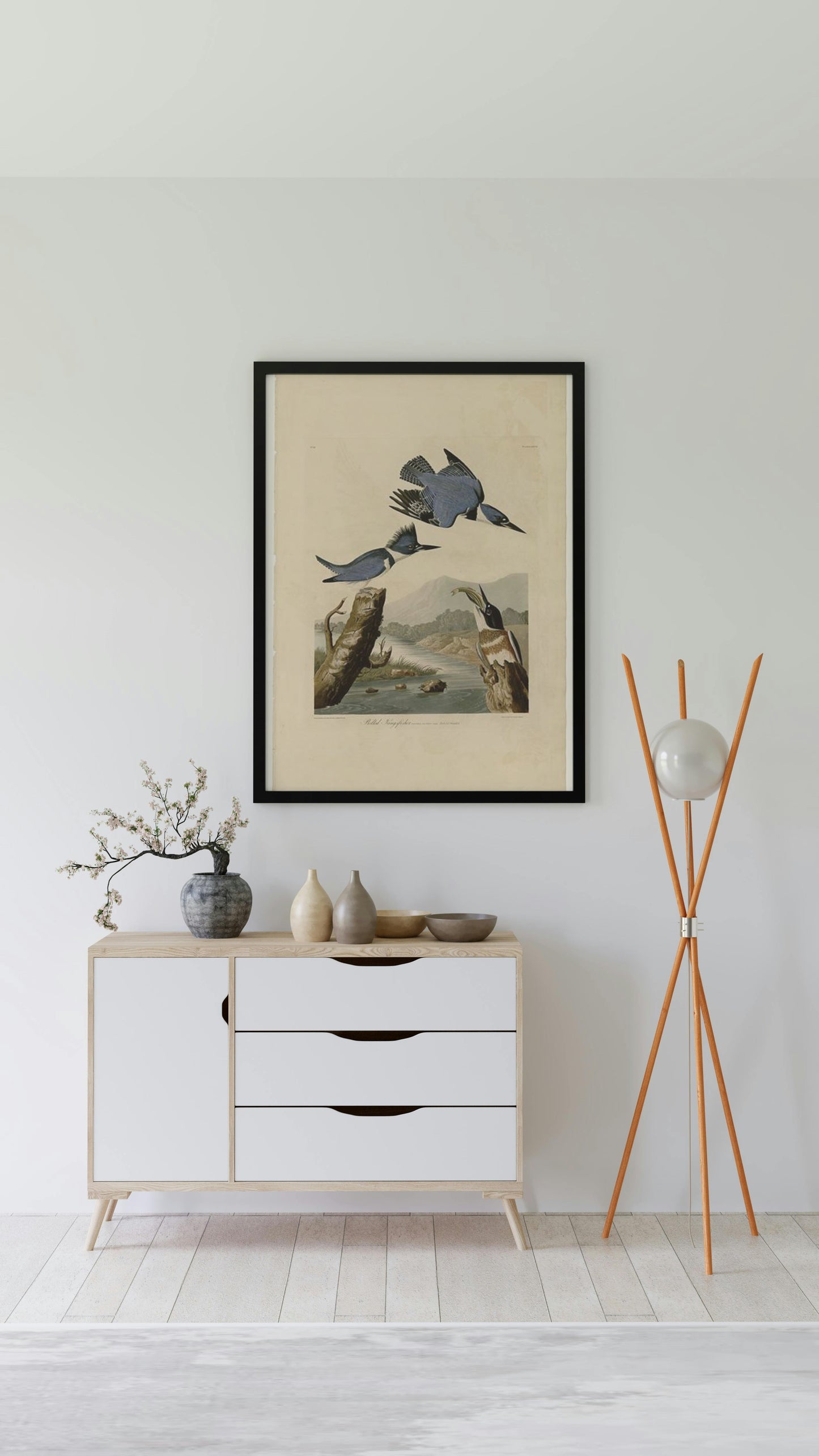 Plate 77 Belted Kingfisher by John James Audubon Naturalism Art