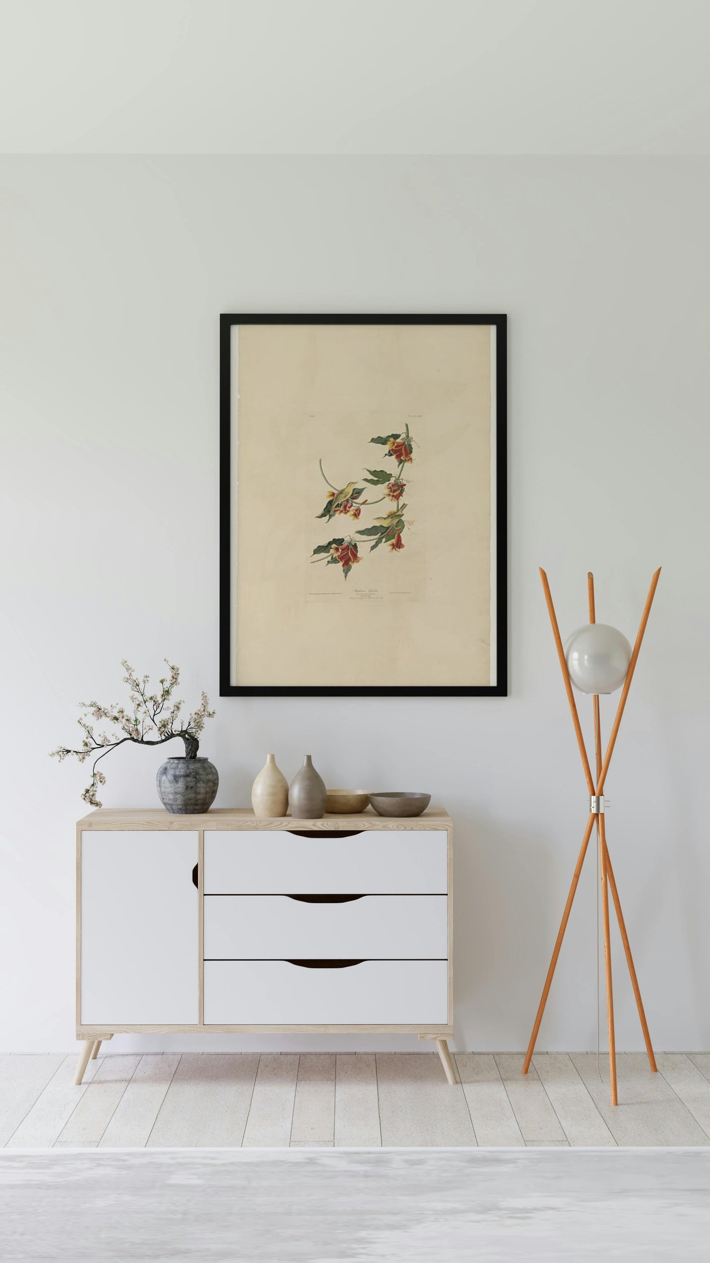 Plate 65 Rathbone Warbler by John James Audubon Naturalism Art