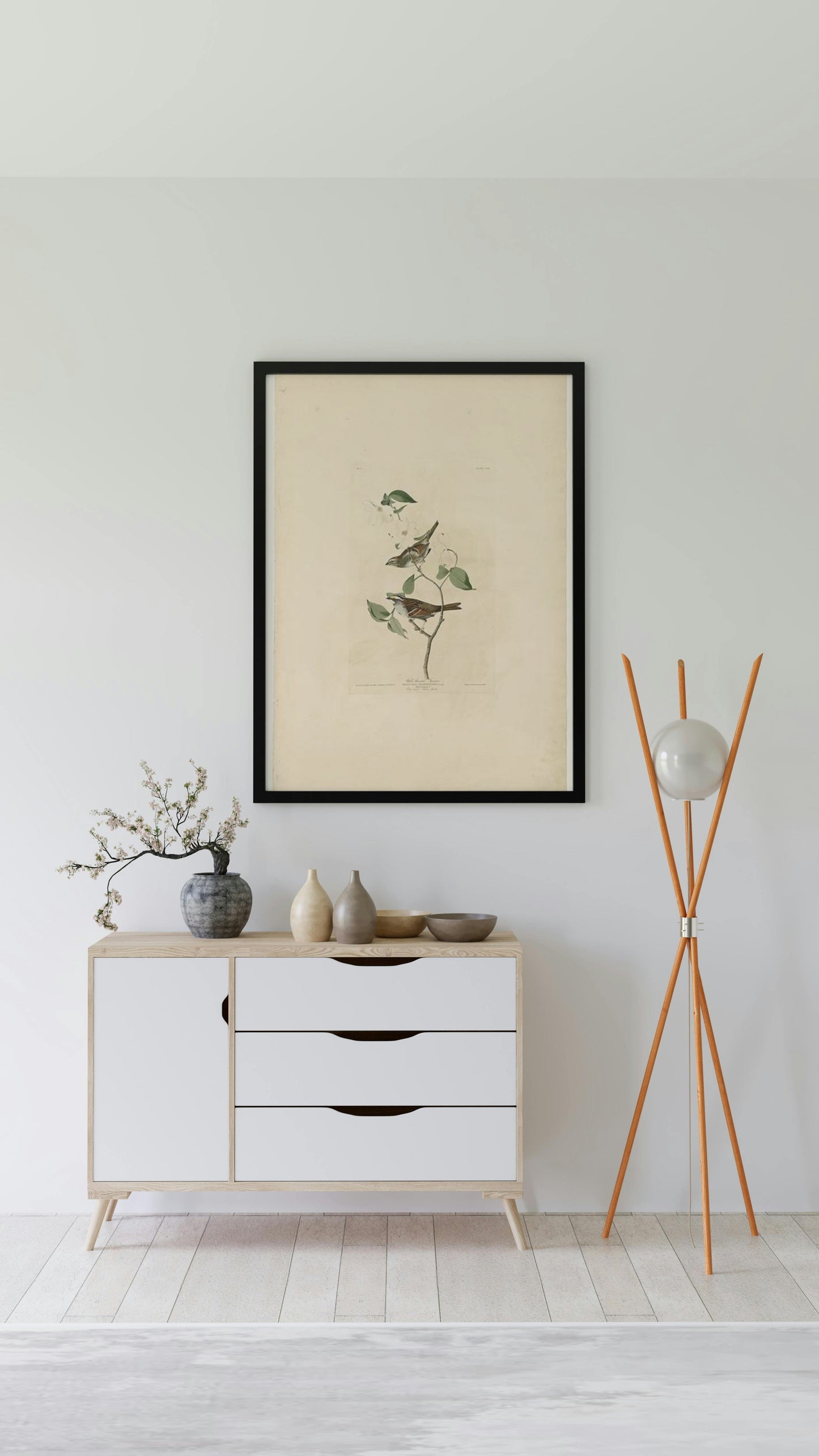 Plate 8 White throated Sparrow by John James Audubon Naturalism Art