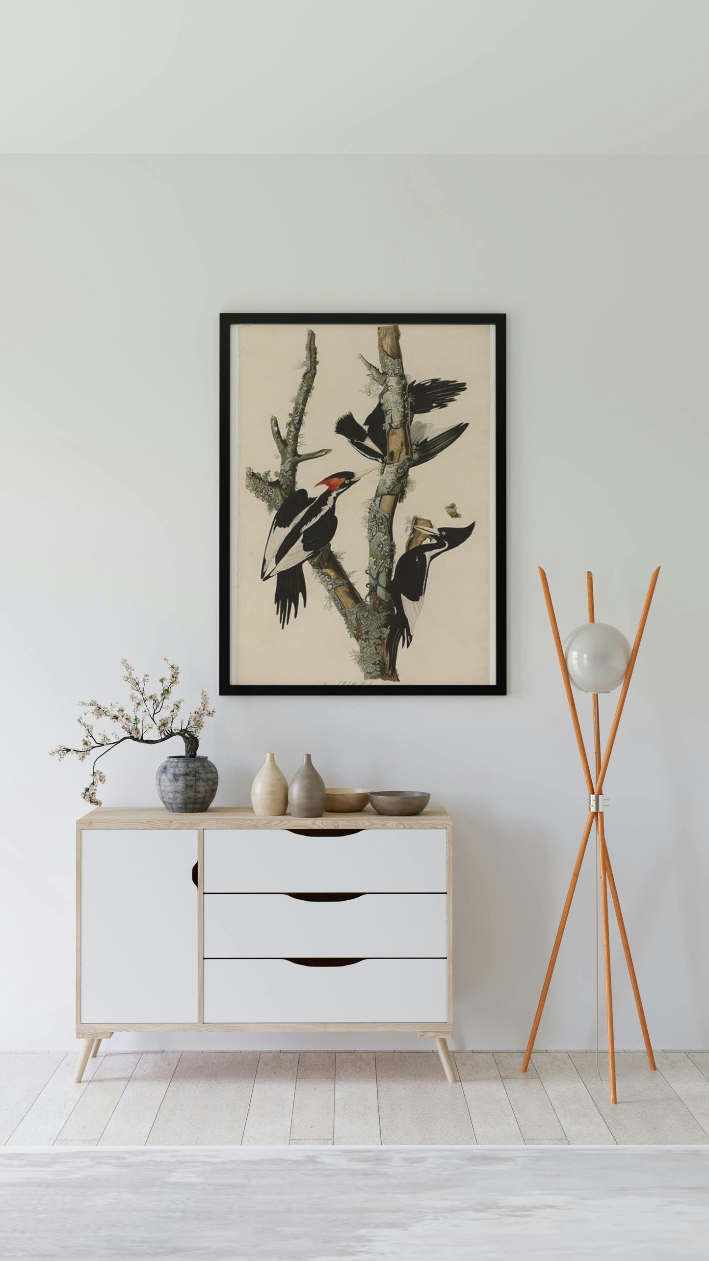 Plate 66 Ivory-billed Woodpecker by John James Audubon Naturalism Art