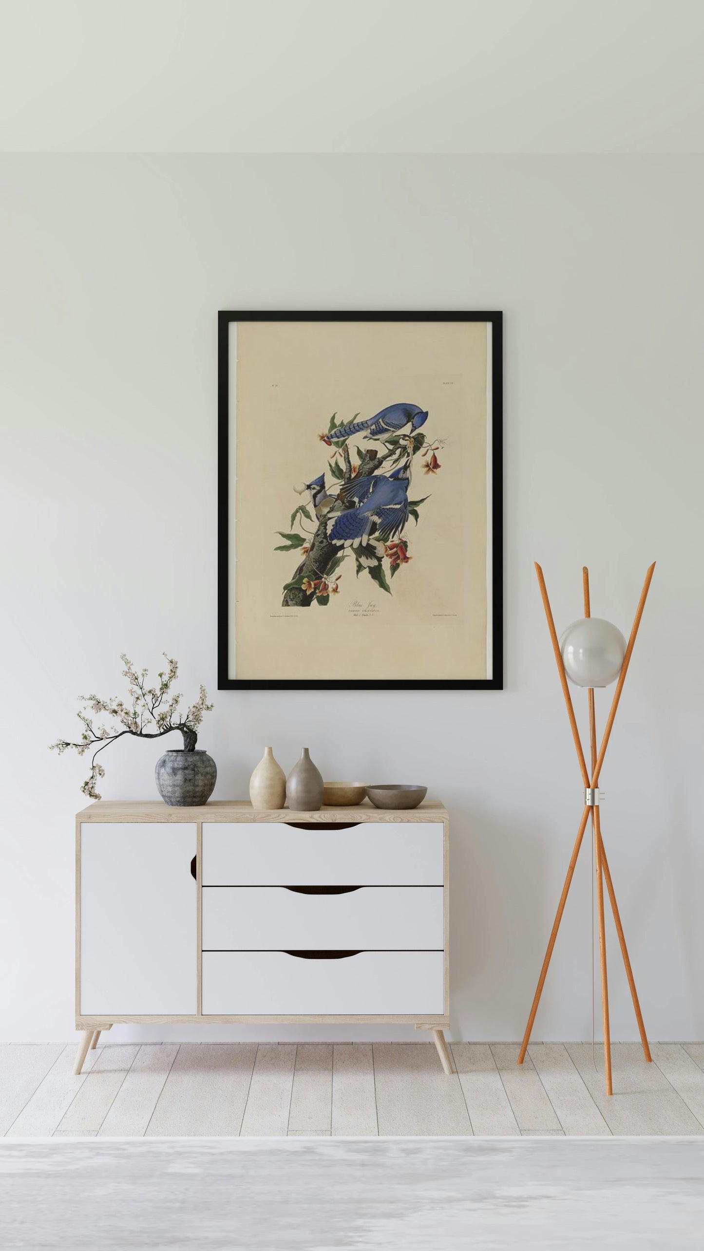 Plate 102 Blue Jay by John James Audubon Naturalism Art