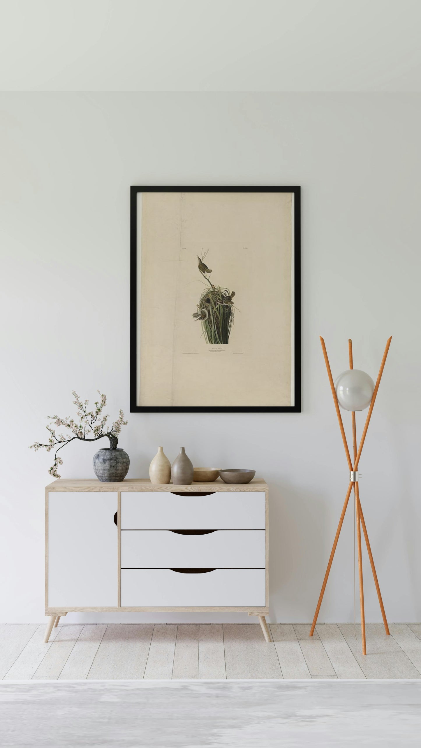 Plate 100 Marsh Wren by John James Audubon Naturalism Art