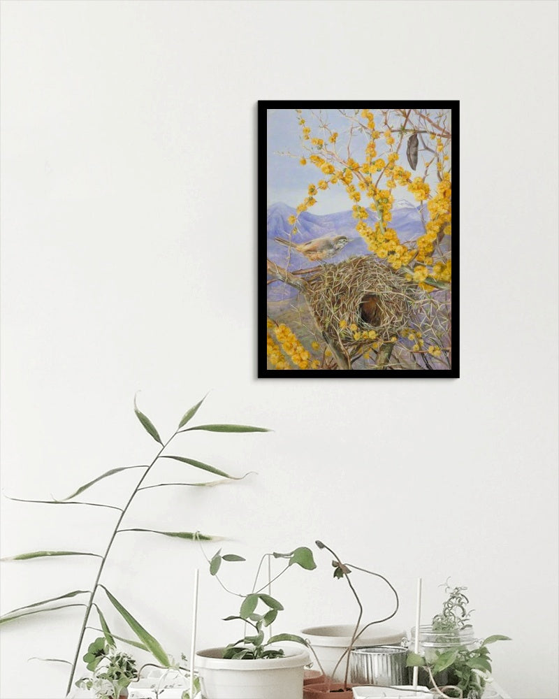 Armed Bird&#39;s Nest in Acacia Bush, Chile by Marianne North Naturalism Art