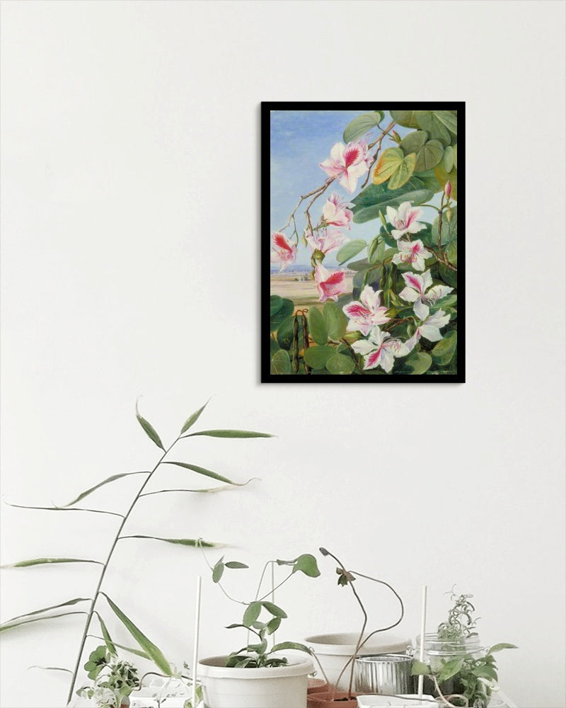 Foliage, Flowers and Fruit of a Common Indian Forest Tree by Marianne North Naturalism Art