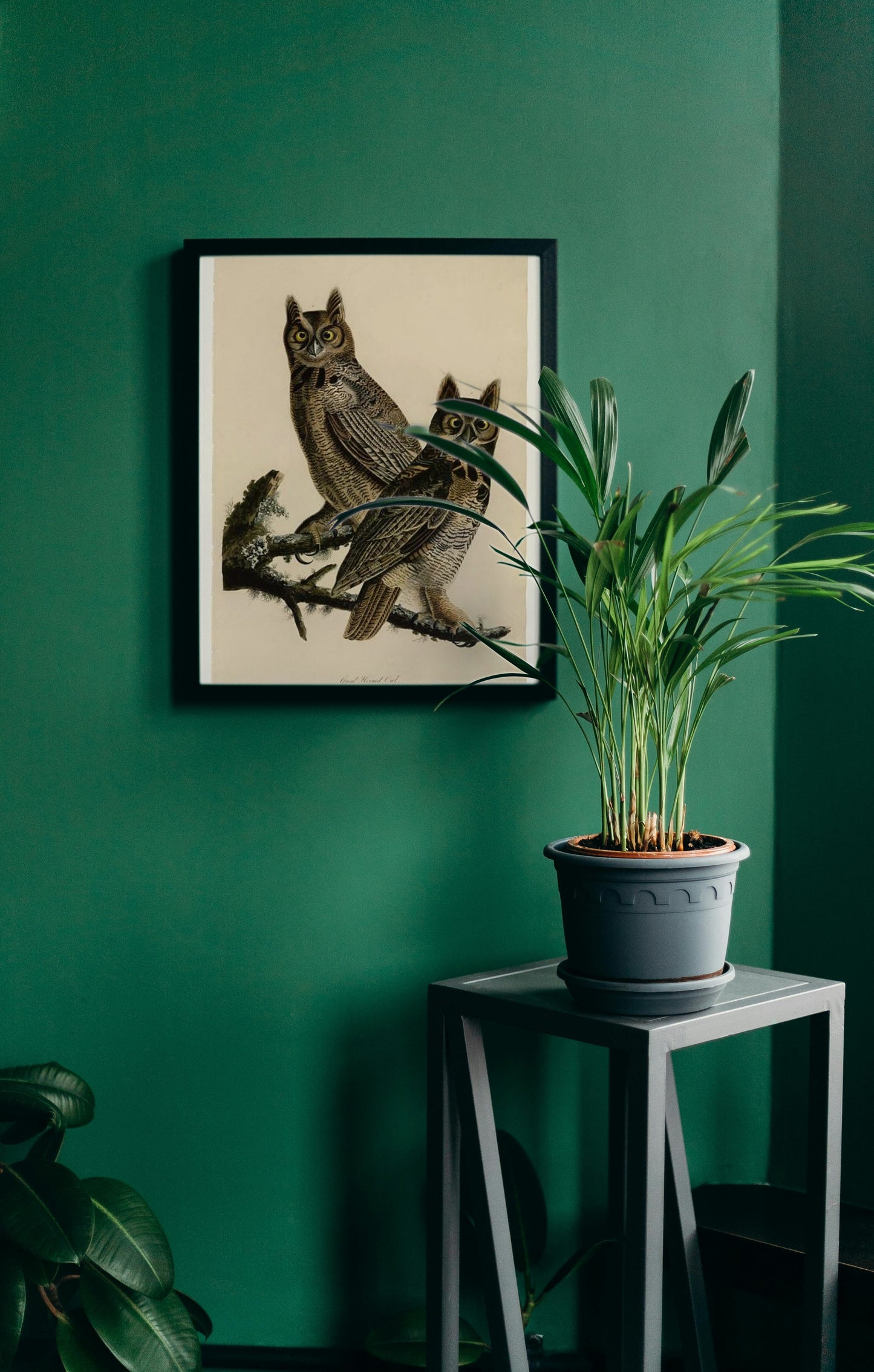 Plate 61. Great Horned Owl by John James Audubon Naturalism Art