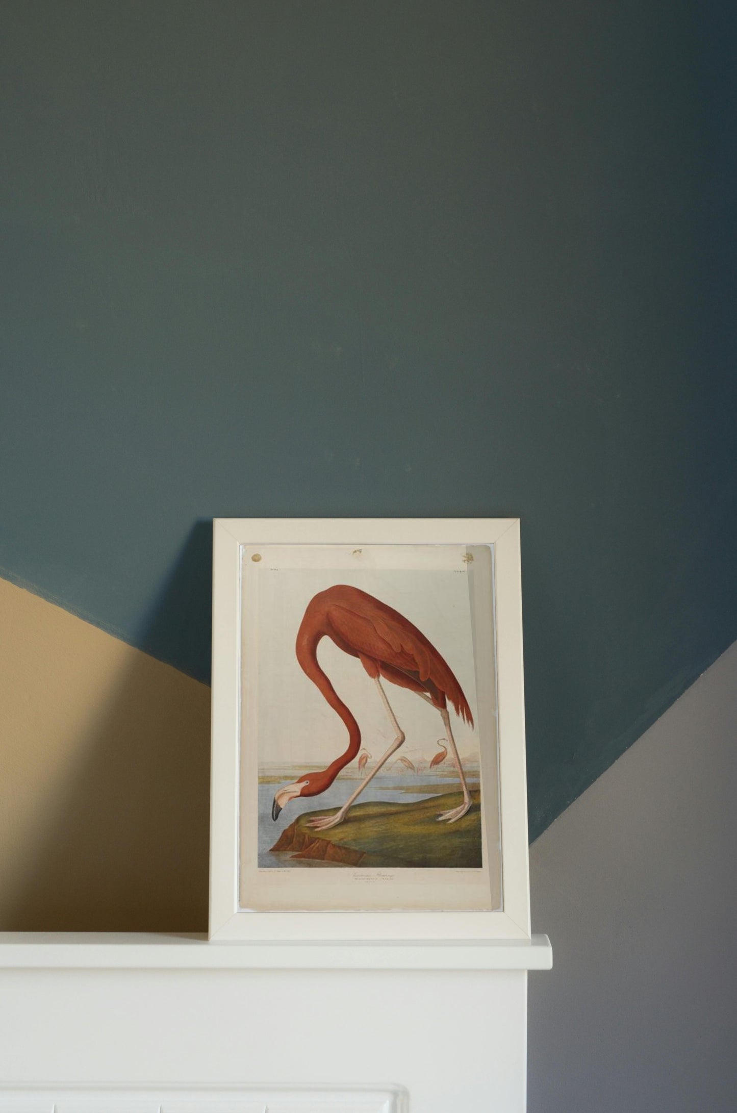 American Flamingo by John James Audubon Naturalism Art dated 1864