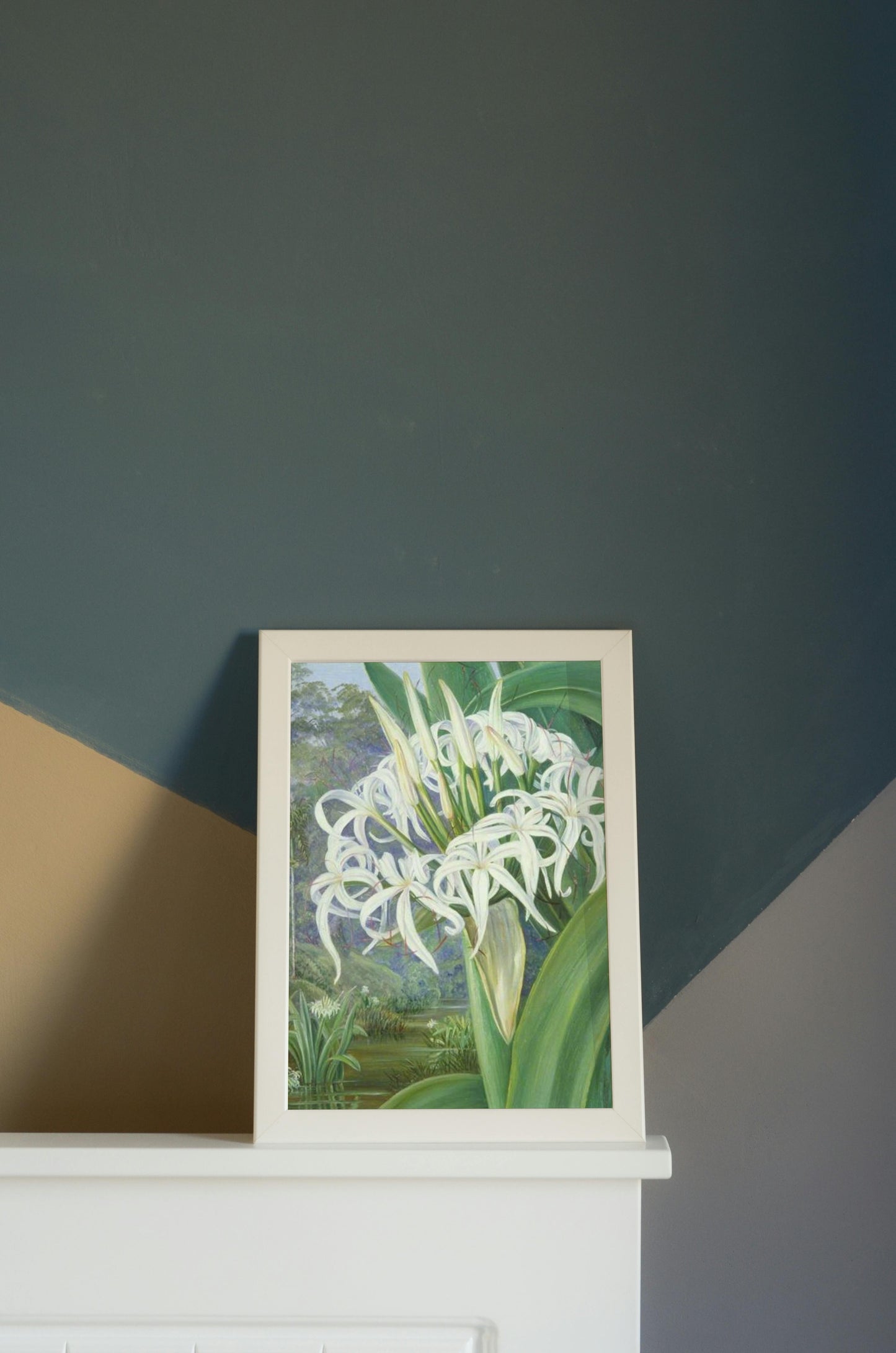 A Bornean Crinum by Marianne North Naturalism Art dated 1876