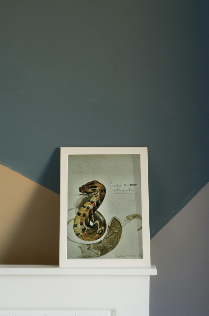 Study&#160;puff adder by Gustave Moreau Symbolism Art