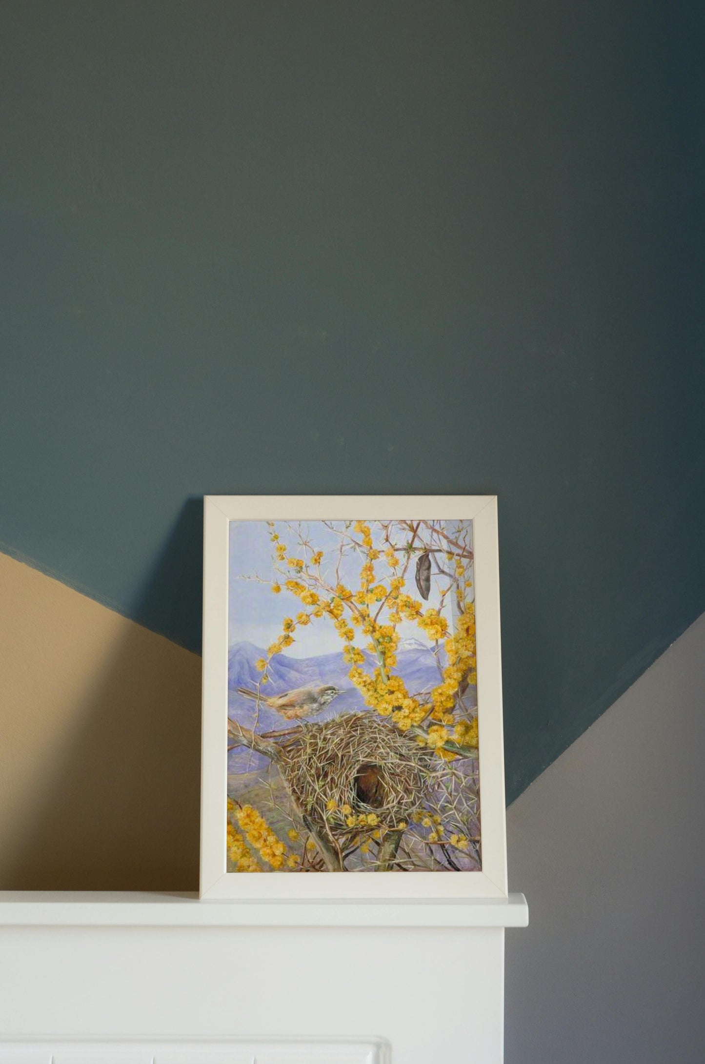 Armed Bird&#39;s Nest in Acacia Bush, Chile by Marianne North Naturalism Art