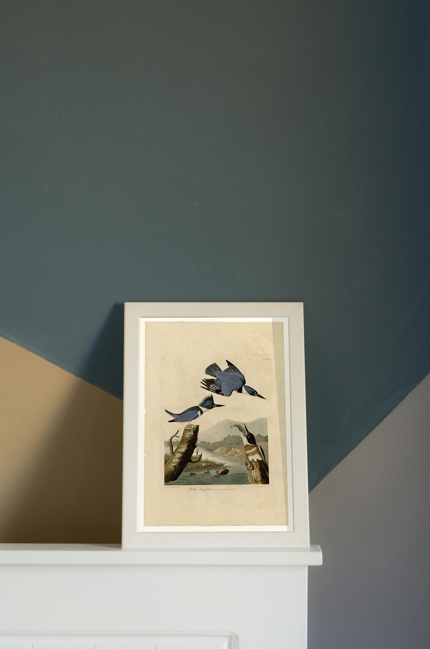 Plate 77 Belted Kingfisher by John James Audubon Naturalism Art