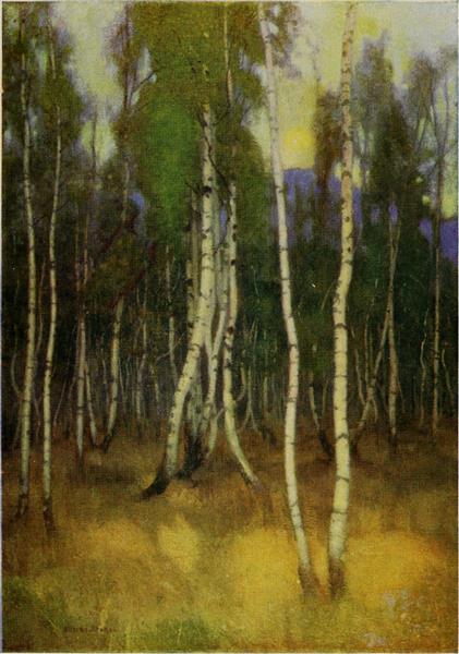 BIRCHES AT LUCSIVNA-FURDO by Marianne Stokes Art Nouveau (Modern) Art dated 1909