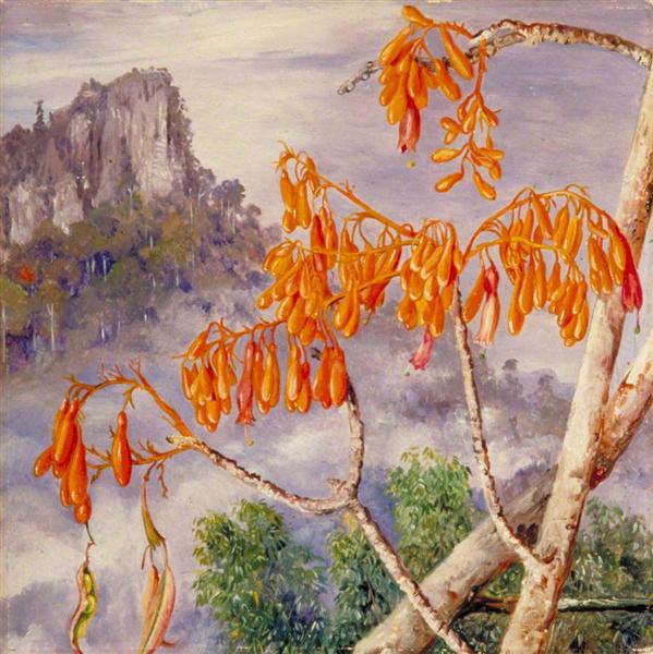 Limestone Mountains of Sarawak, Borneo by Marianne North Naturalism Art dated 1876