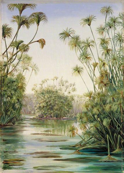 Papyrus or Paper Reed Growing in the Ciane, Sicily by Marianne North Naturalism Art dated 1870