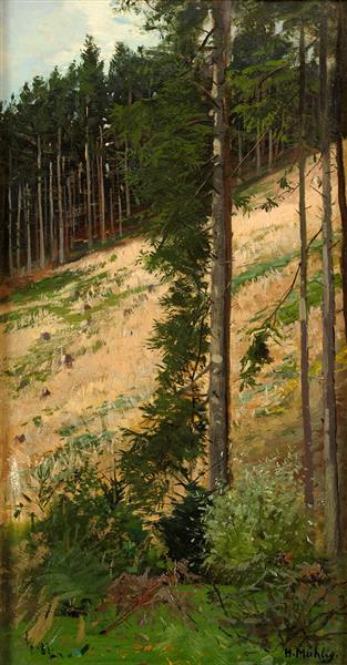 Forest section by Hugo M&#252;hlig Impressionism Art dated 1887