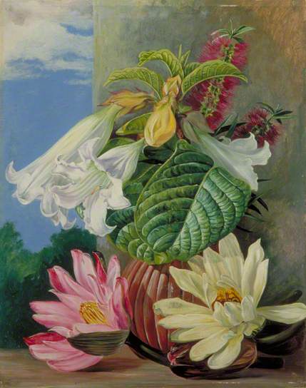 Flowers Cultivated in the Botanic Garden, Rio Janeiro, Brazil by Marianne North Naturalism Art