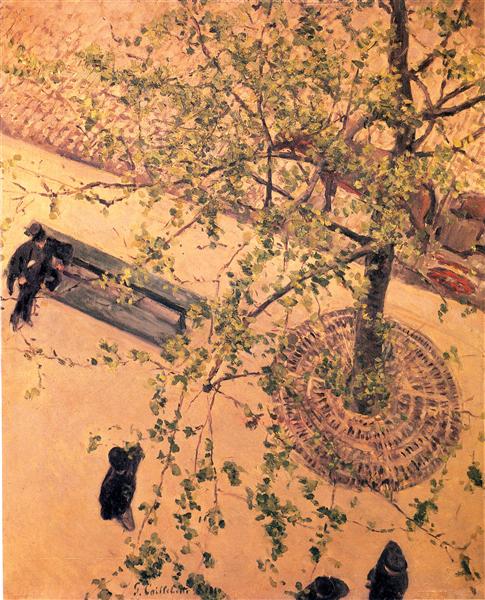 The Boulevard Viewed from Above by Gustave Caillebotte Impressionism Art dated 1880