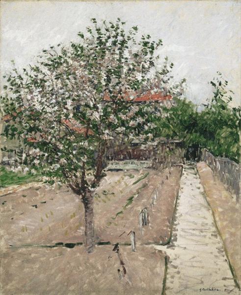 Apple Tree in Blossom by Gustave Caillebotte Impressionism Art dated 1885