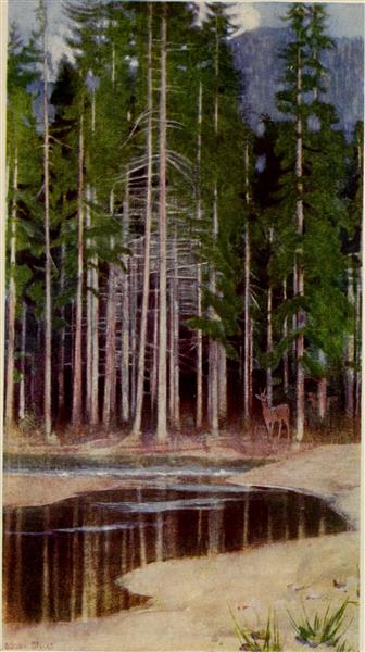 PINES IN THE TATRA by Marianne Stokes Art Nouveau (Modern) Art dated 1909