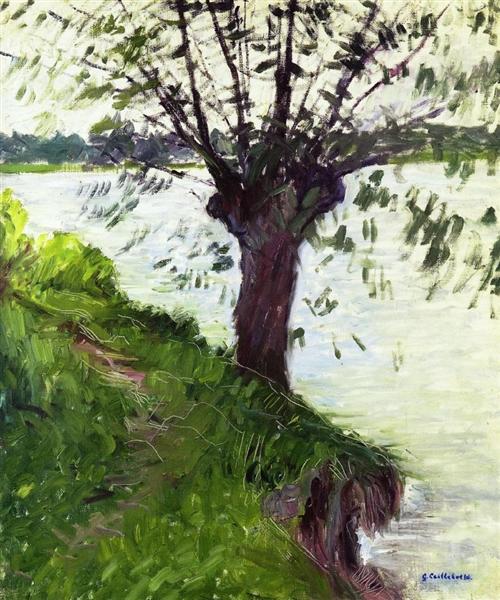 Willow on the Banks of the Seine by Gustave Caillebotte Impressionism Art dated 1891