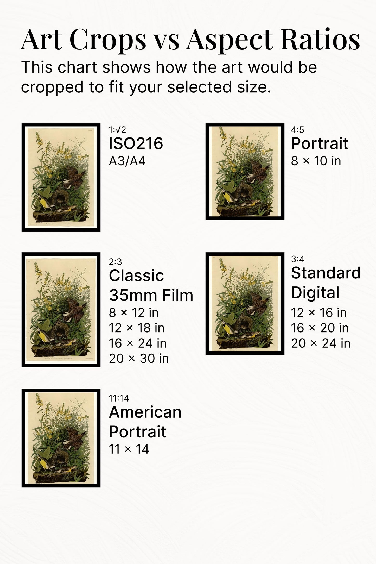 Plate 136 Meadow Lark by John James Audubon Naturalism Art