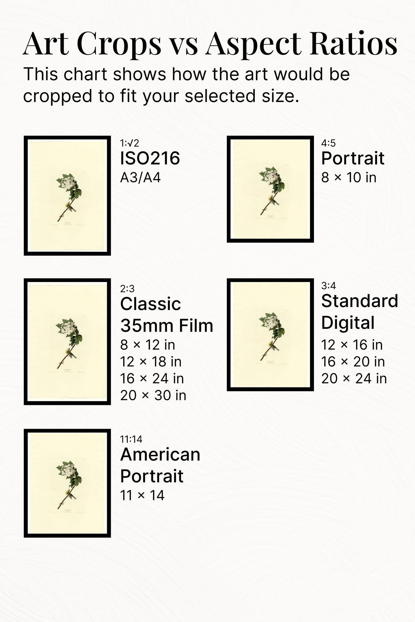 Plate 119 Yellow-throated Vireo by John James Audubon Naturalism Art