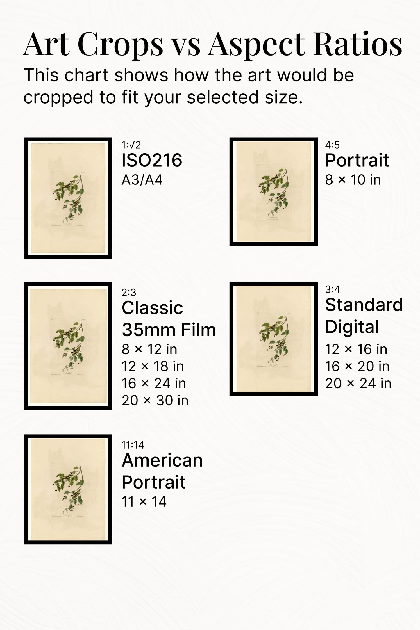 Plate 60. Carbonated Warbler by John James Audubon Naturalism Art