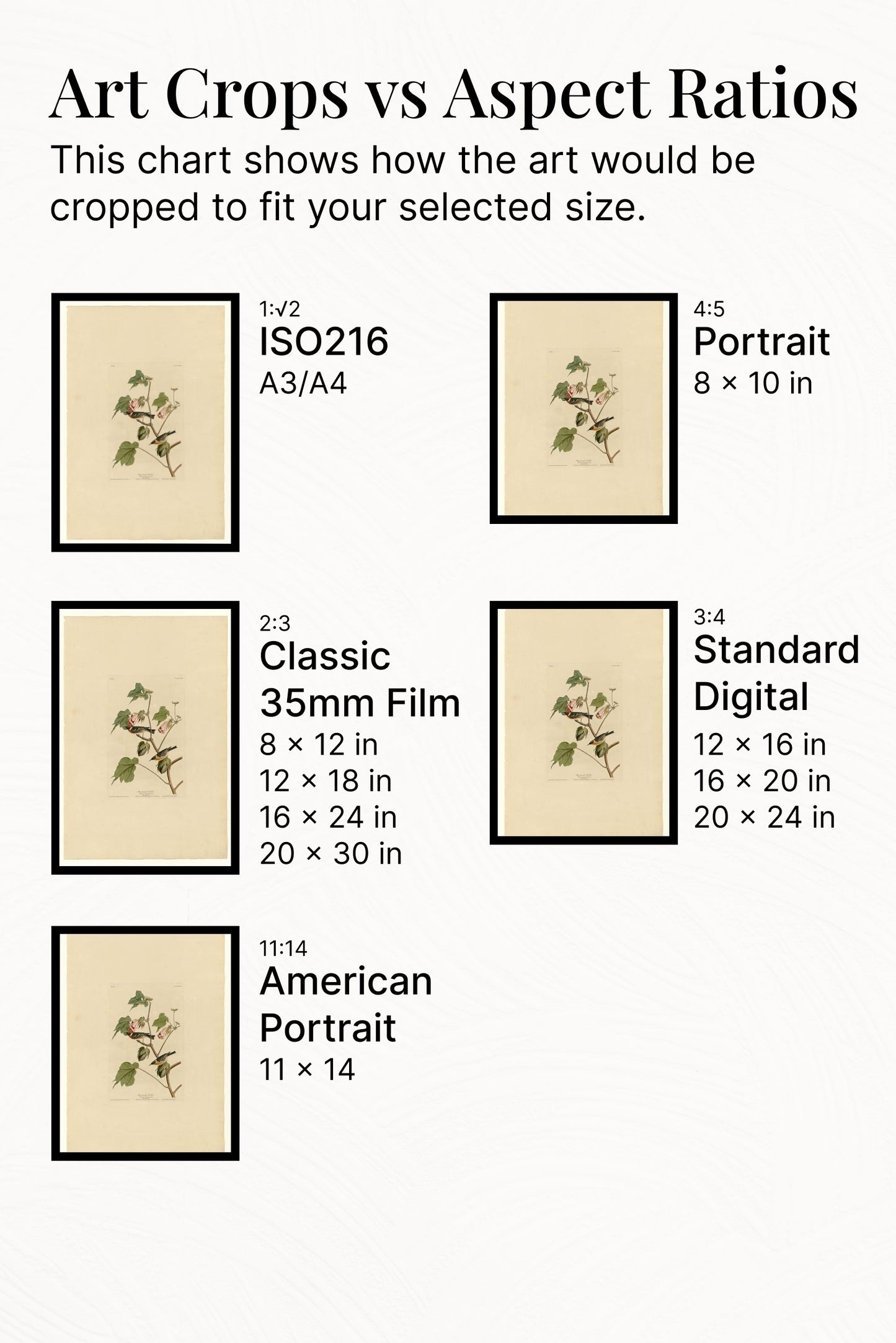 Plate 69 Bay-breasted Warbler by John James Audubon Naturalism Art