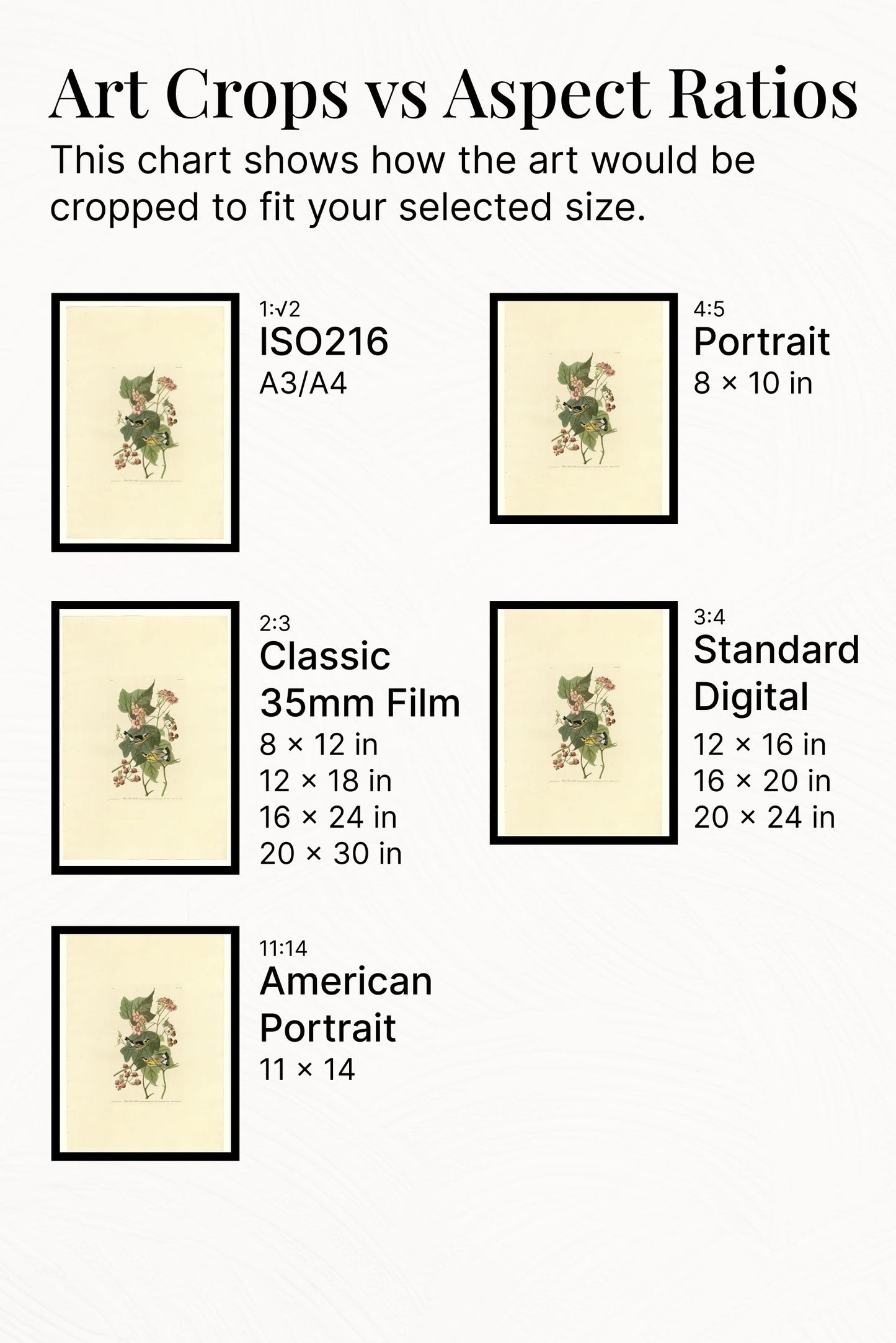 Plate 123 Black &amp; Yellow Warblers by John James Audubon Naturalism Art