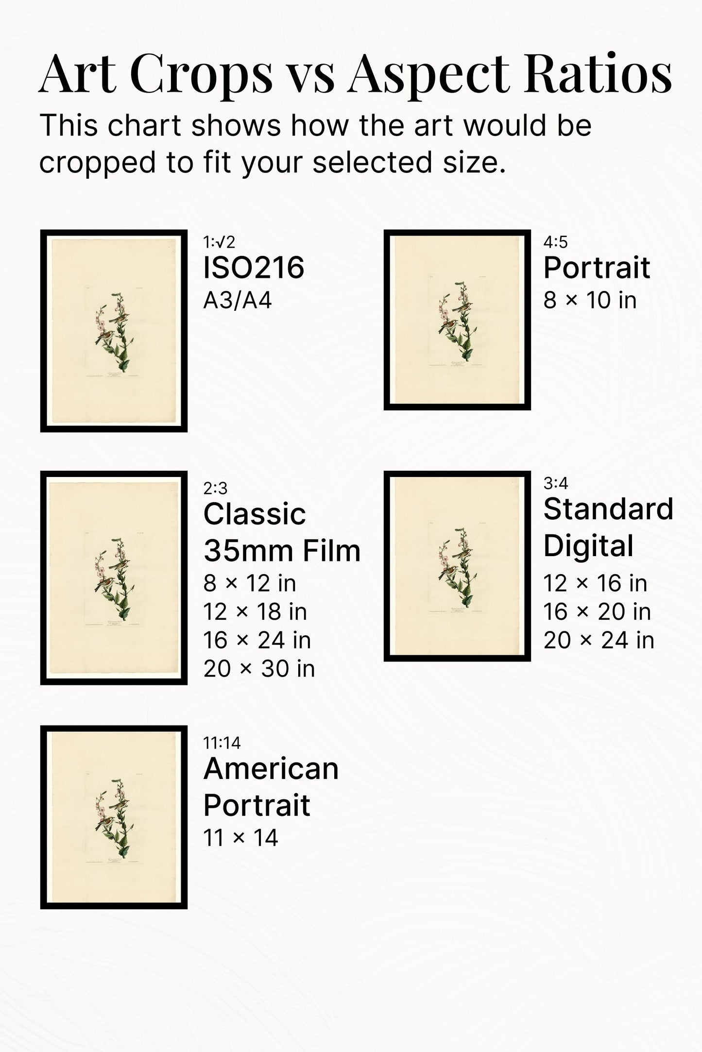 Plate 59. Chestnut-sided Warbler by John James Audubon Naturalism Art