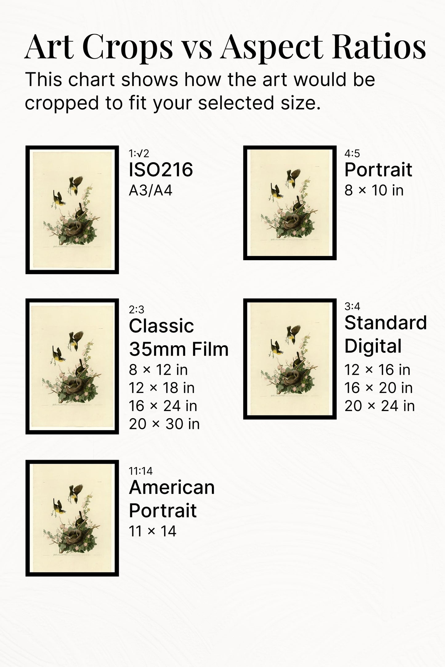 Plate 137 Yellow-breasted Chat by John James Audubon Naturalism Art