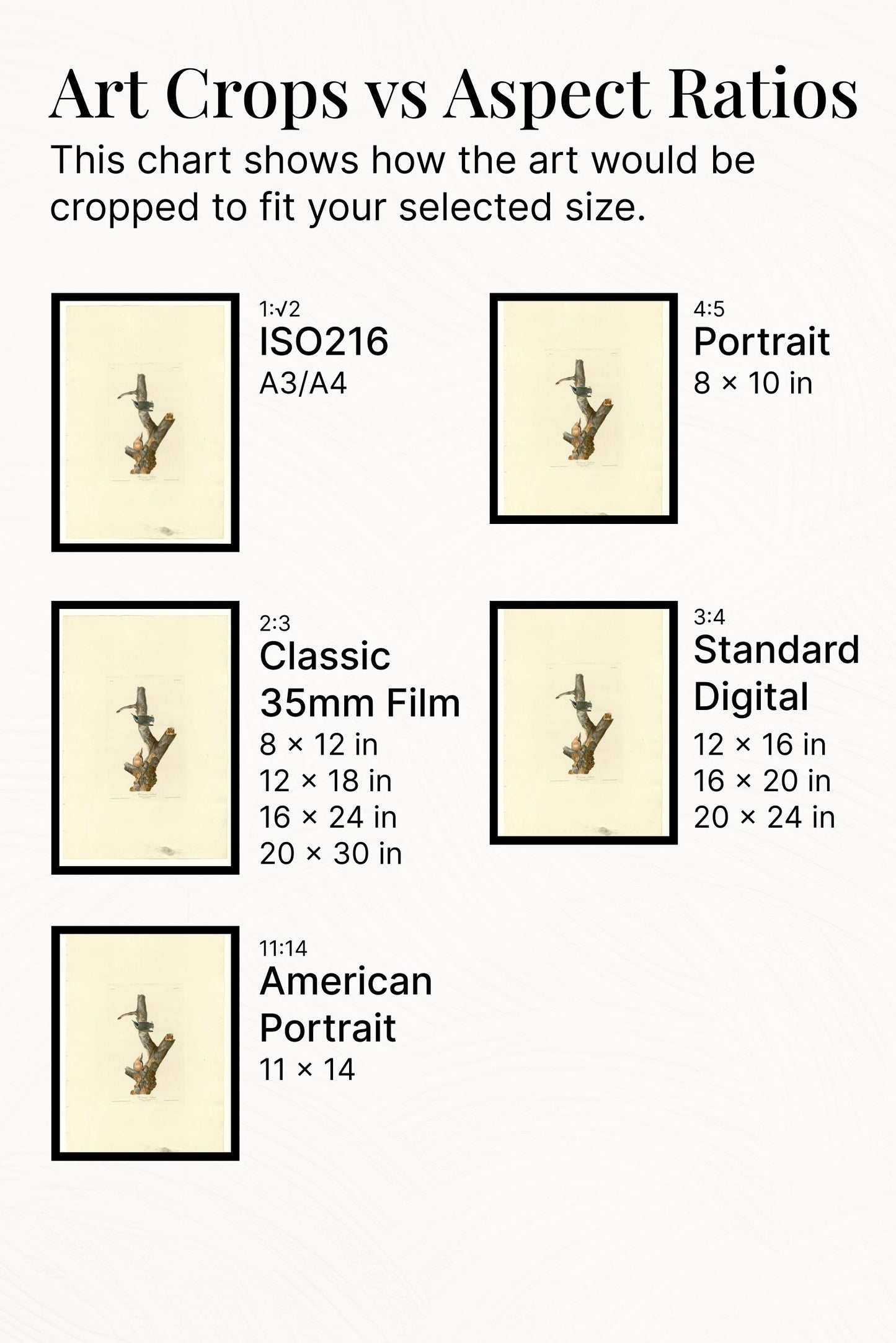 Plate 105 Red-breasted Nuthatch by John James Audubon Naturalism Art