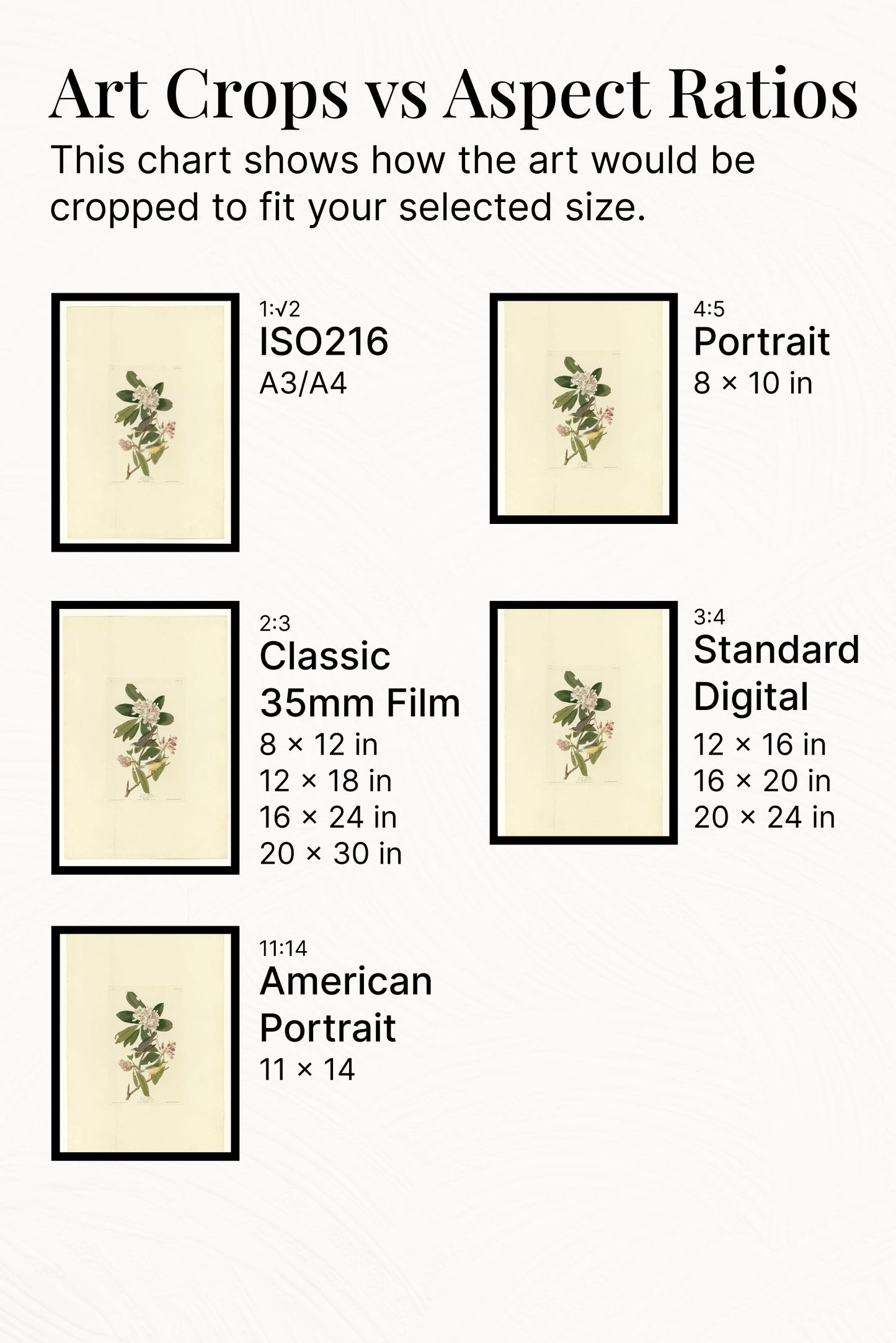 Plate 103 Canada Warbler by John James Audubon Naturalism Art